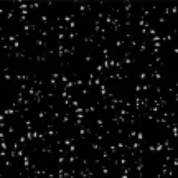 Гранит G53 Stardust Granite