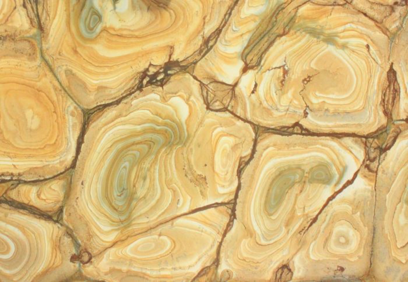 Кварцевый агломерат Stonewood Leather