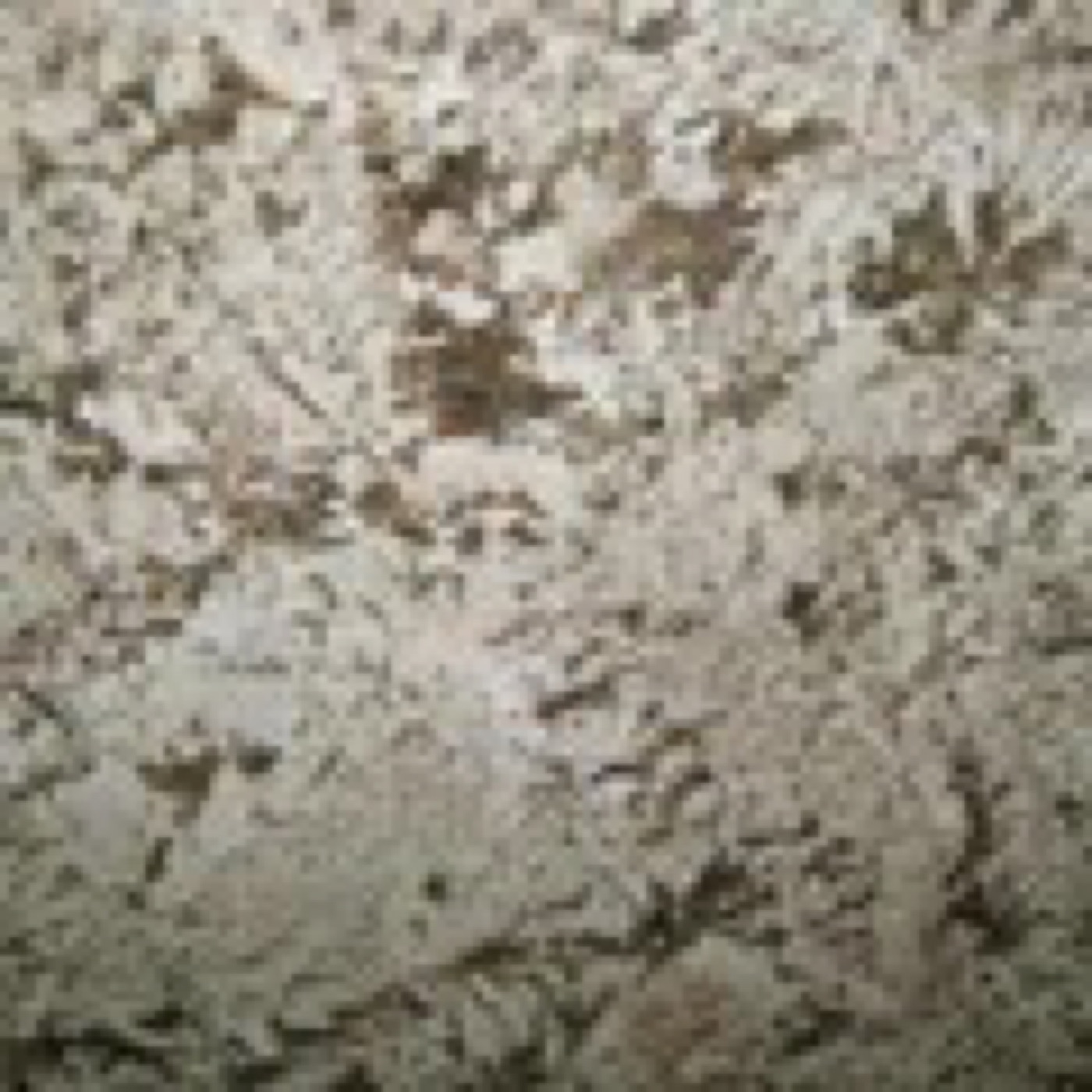 Гранит Bianco Antico