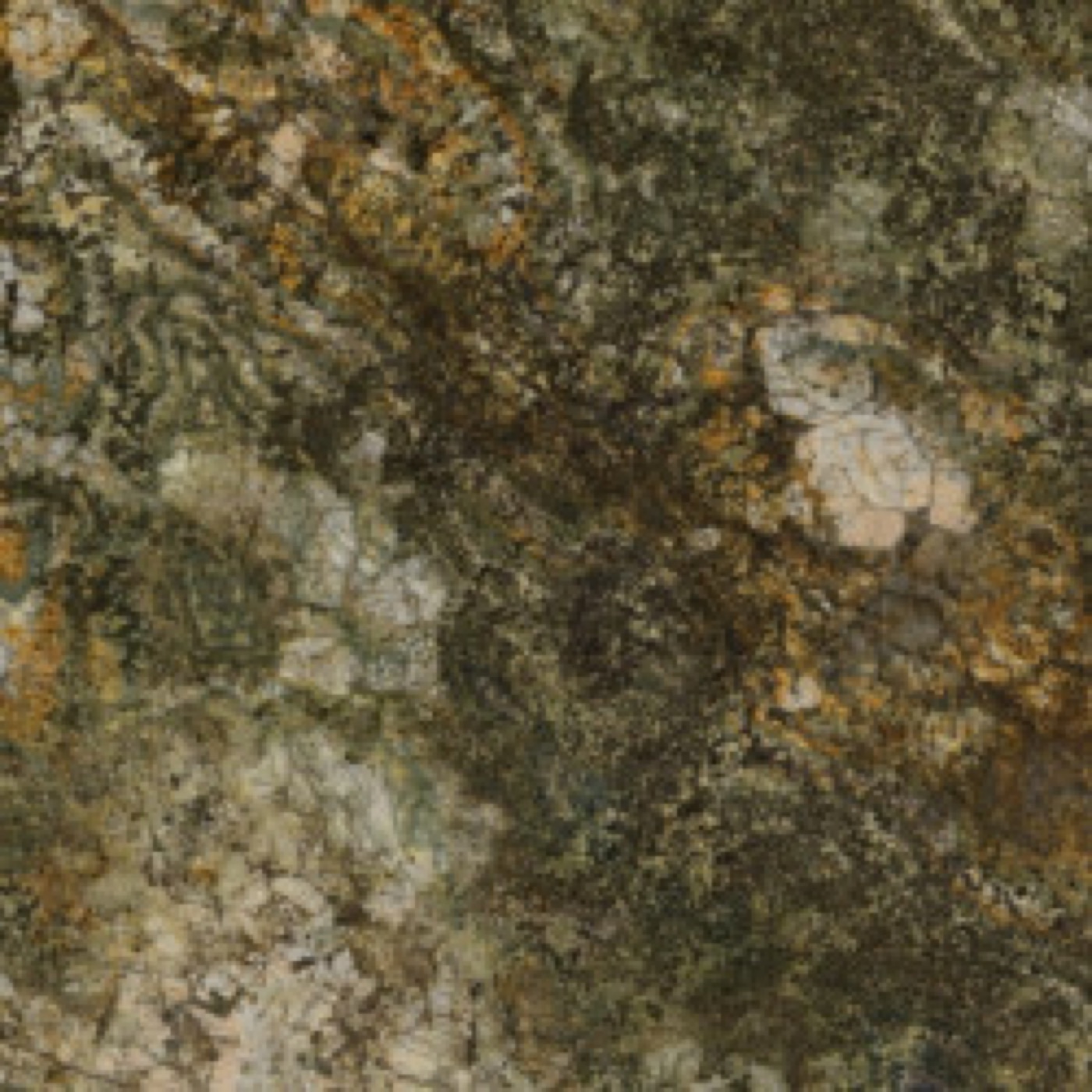 Гранит Amazonia