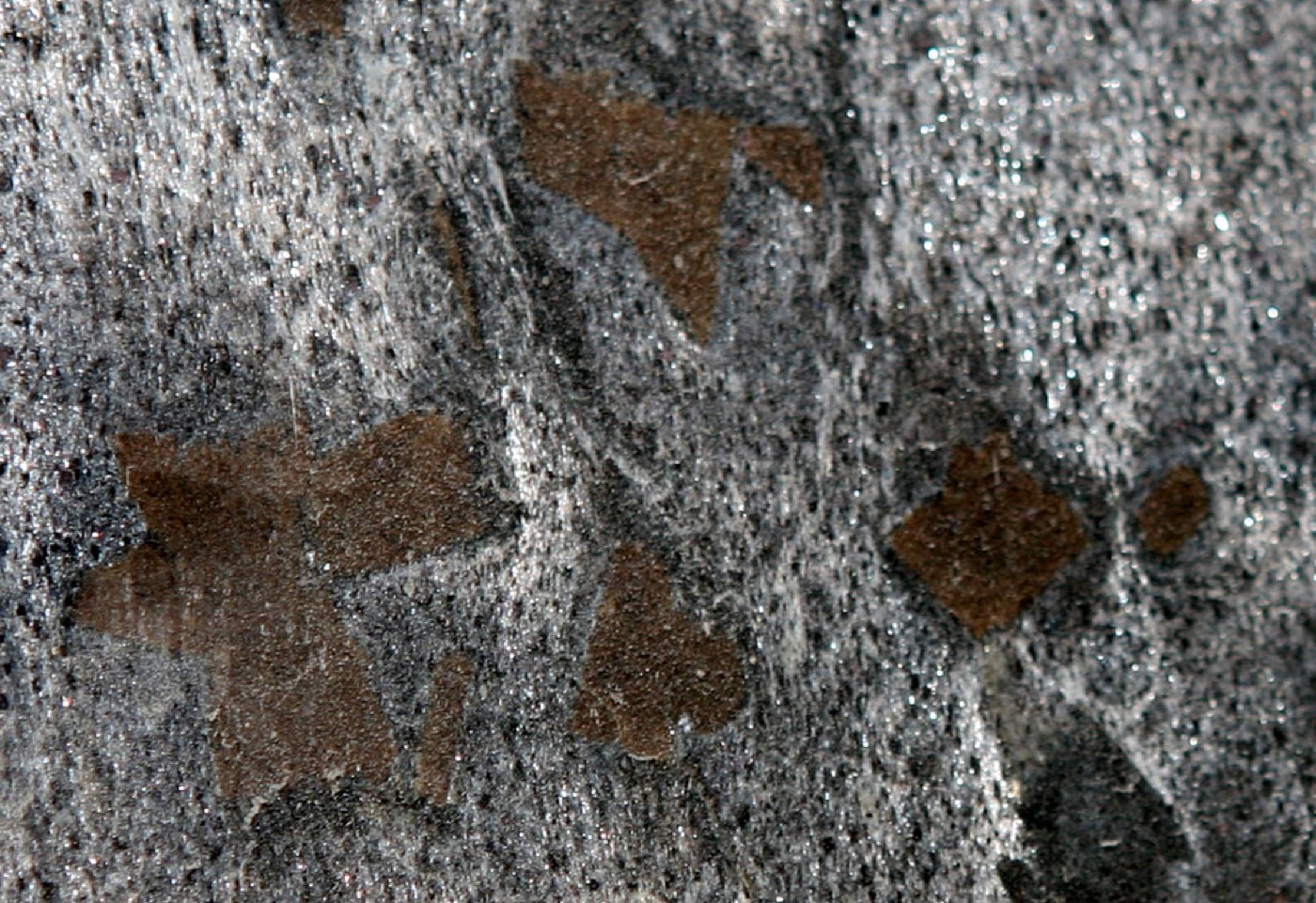 Гранит Silver Silk