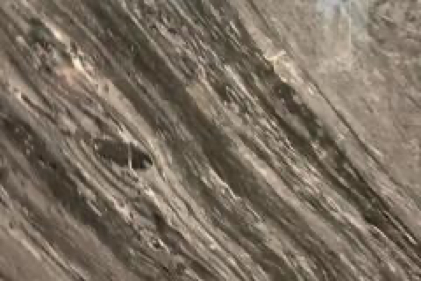 Мрамор Ocean Brown